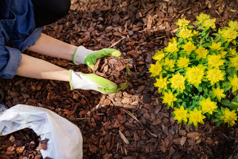 Shredded Mulch Installation