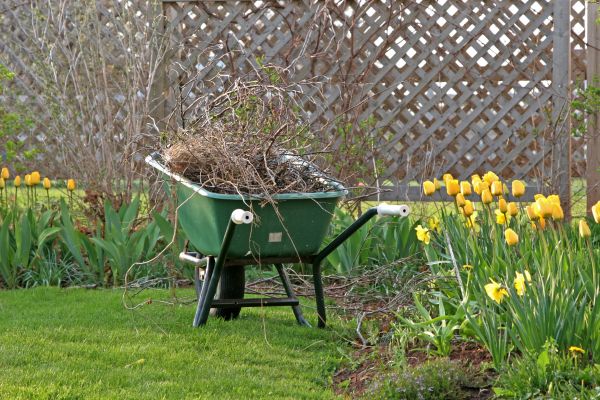 Flower Bed Cleanup Service in El Paso