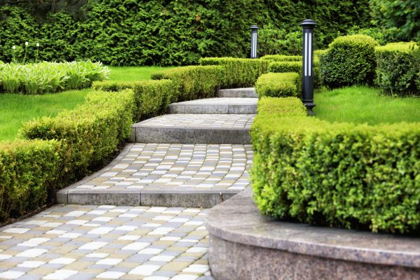 Backyard Remodeling in El Paso