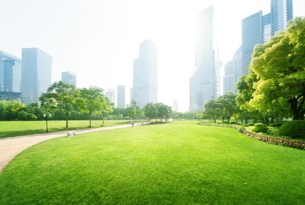 Commercial Landscape Maintenance in El Paso