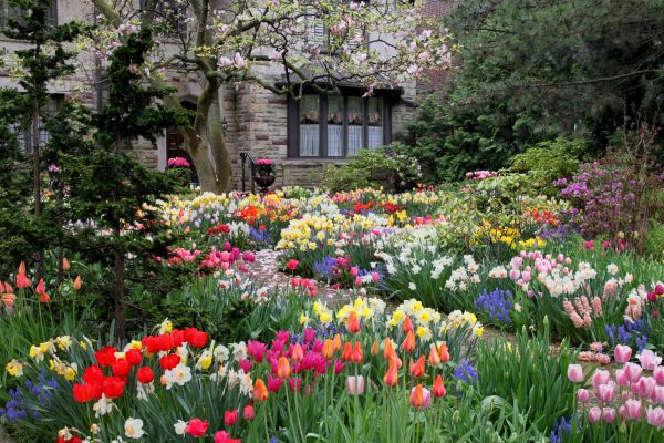 Garden Maintenance Service in El Paso