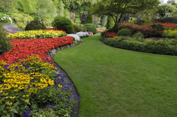 Landscaping Maintenance in El Paso