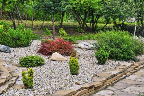 Rock Landscaping in El Paso