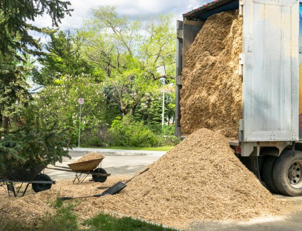 Wood Chips Delivery in El Paso
