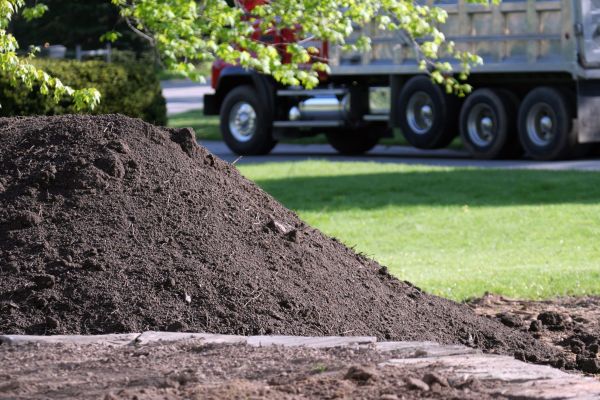 Yard Dirt Delivery in El Paso