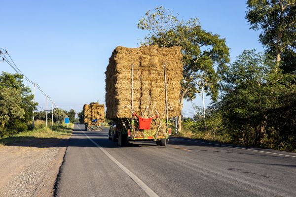 Pine Straw Delivery in El Paso