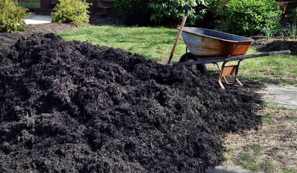 Black Mulch Delivery in El Paso