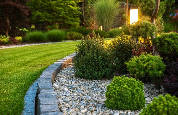 Home Landscaping in El Paso