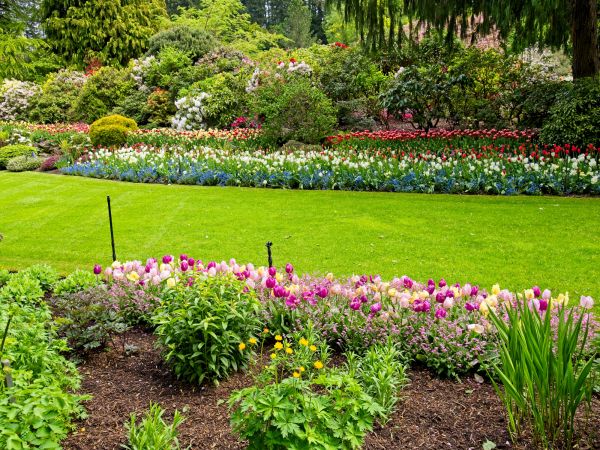Residential Landscape Design in El Paso