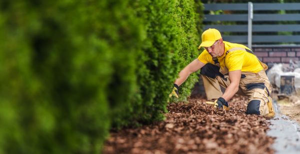 Cypress Mulch Installation in El Paso