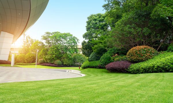 Business Landscape Design in El Paso