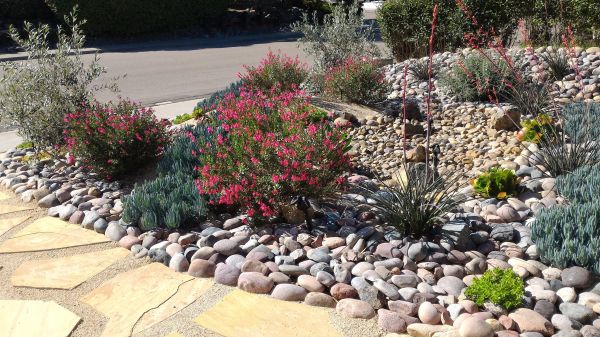 Xeriscape Landscaping in El Paso