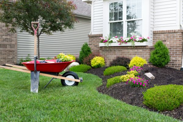 Tree And Shrub Planting in El Paso