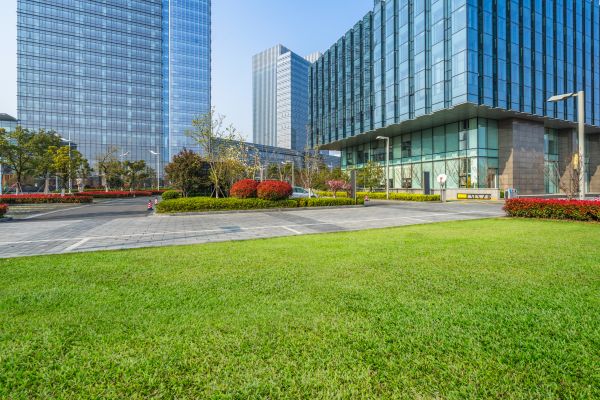 Industrial Landscaping Service in El Paso