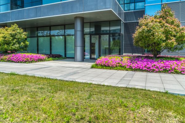Commercial Gardening in El Paso