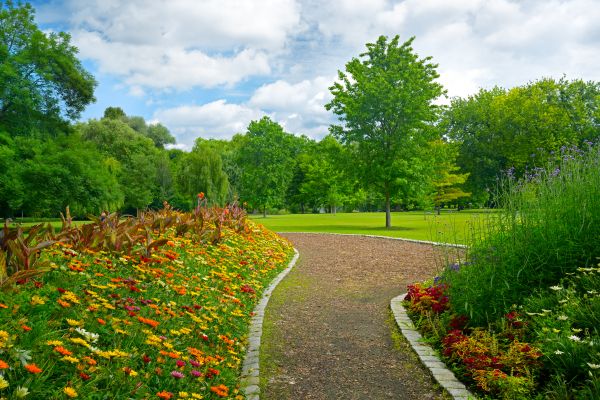 Park Landscaping in El Paso