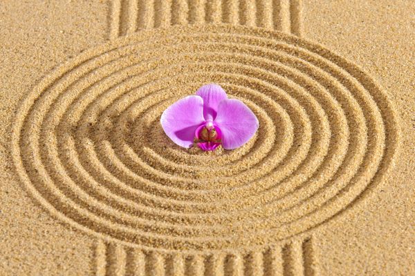 Sand Garden Landscaping in El Paso