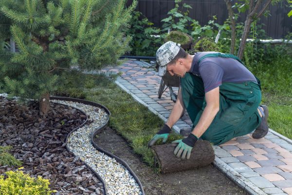 Landscaping Modification in El Paso