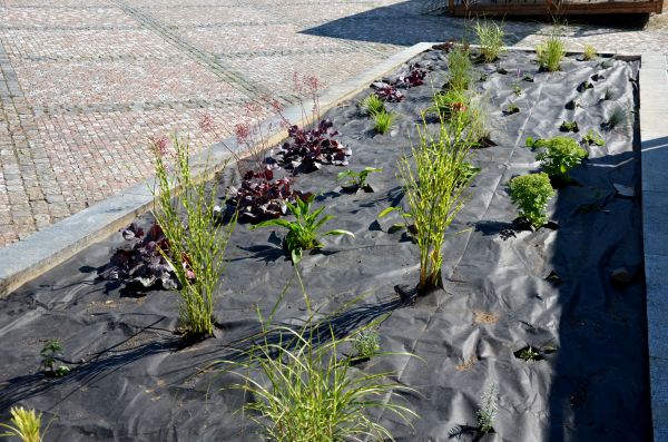 Landscape Fabric Installation in El Paso