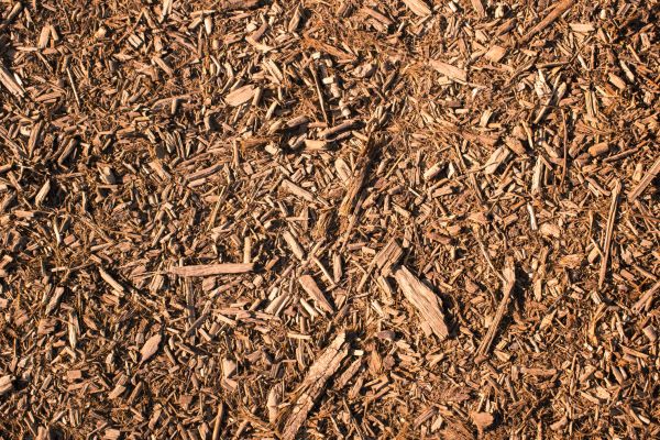 Wood Chips Removal in El Paso