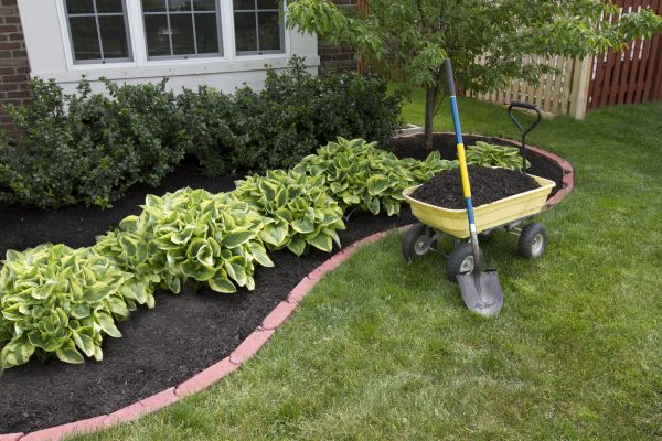 Landscape Mulching in El Paso