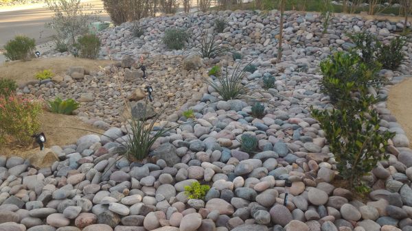 Yard Xeriscaping in El Paso