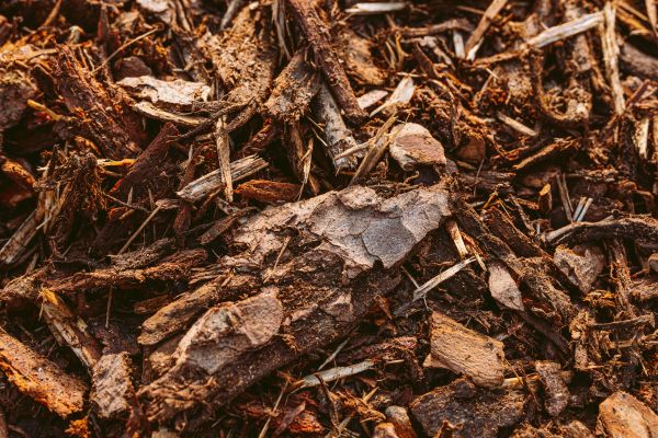 Bark Mulch Delivery in El Paso
