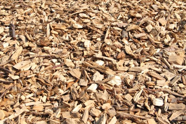 Wood Mulch Delivery in El Paso
