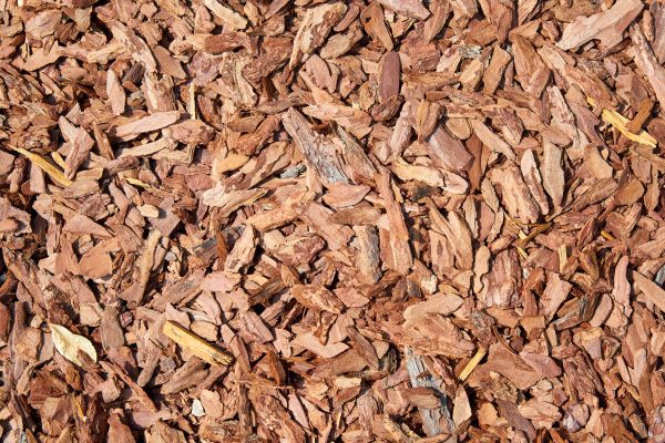 Pine Mulch Spreading in El Paso