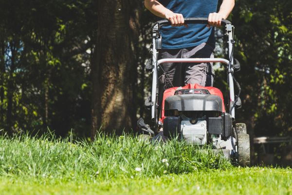 Garden Trimming Service in El Paso