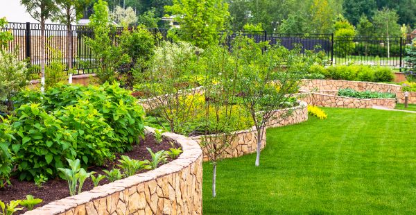 Yard Makeover Service in El Paso