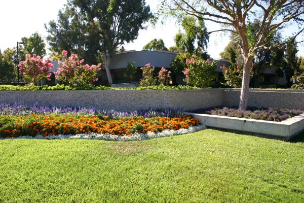 Commercial Landscape Service in El Paso