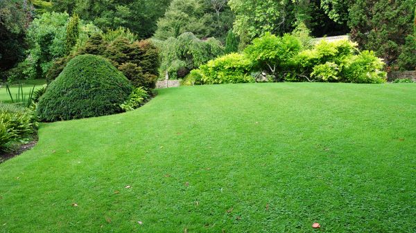 Commercial Landscape Design in El Paso