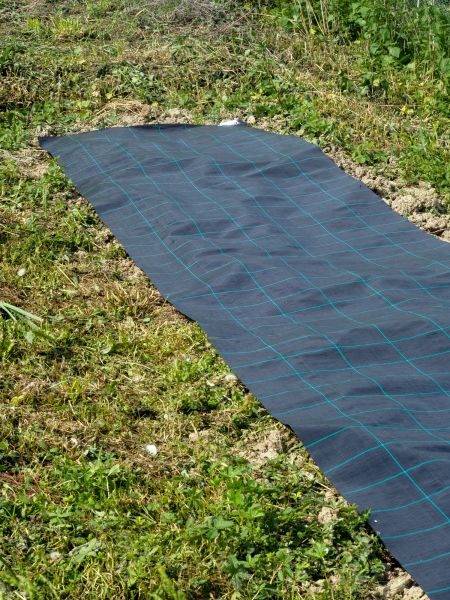 Weed Suppressant Installation in El Paso