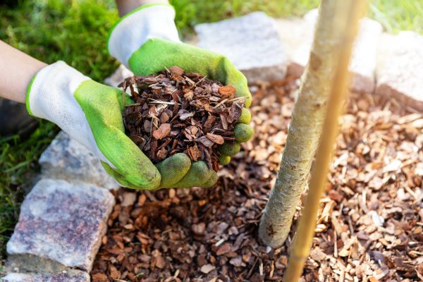 Tree Bark Delivery in El Paso