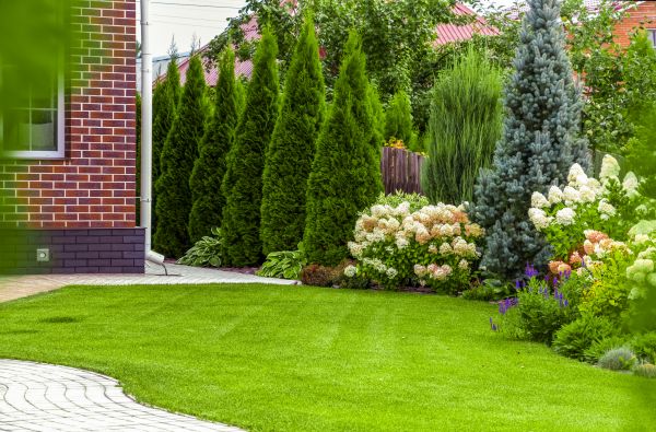 Spring Landscaping in El Paso