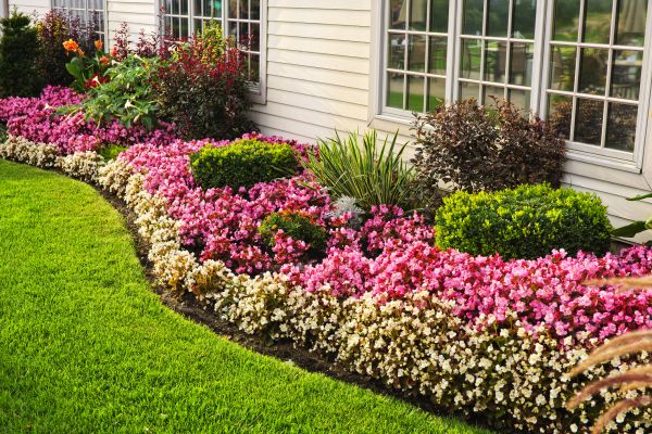 Garden Landscape Design in El Paso