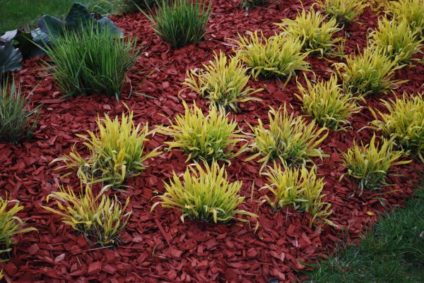 Red Mulch Installation in El Paso