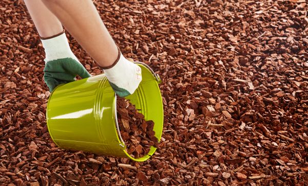 Wood Chip Landscaping in El Paso