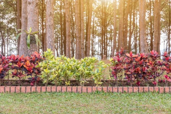 Small Garden Landscaping in El Paso