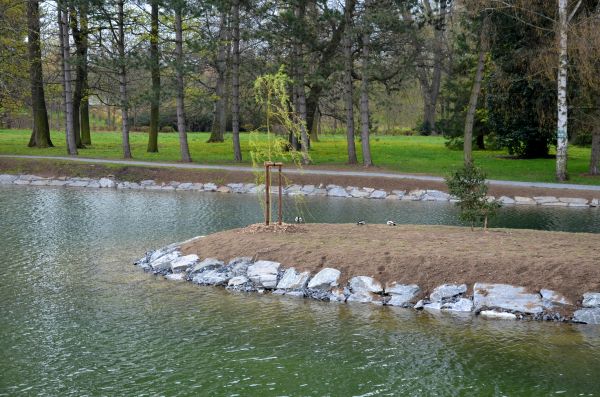 Pond Landscaping Service in El Paso