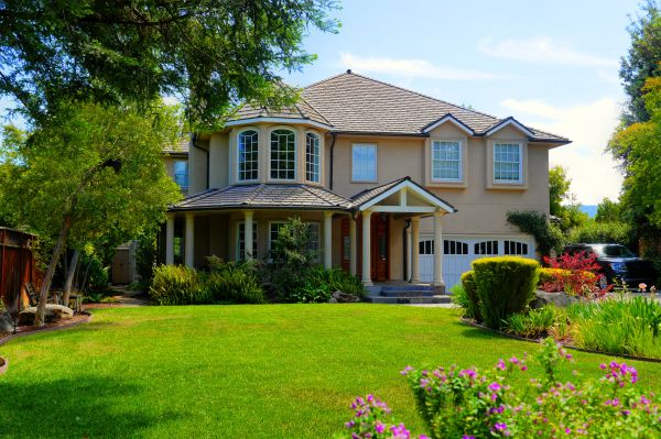 Large Yard Landscaping in El Paso