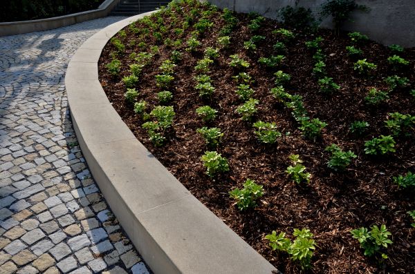 Commercial Mulching in El Paso